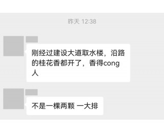 武汉的天气我问你，马上-1℃是真的吗？