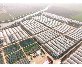 从田间到蟹塘，武汉经开区湘口街道以服务之手绘就乡村振兴画卷