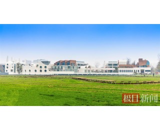 武汉兰岛都市田园综合体开园，6400亩“农业+文旅+社区”融合示范区亮相车谷