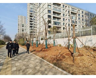 东湖高新区九峰街道一处“边角地”披上绿装