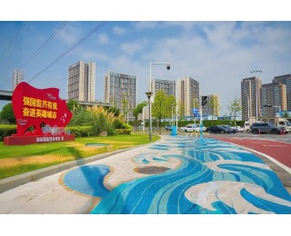 东西湖区用绣花功夫织就“人民城市”新内涵