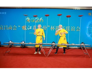 多家会员跻身中国企业500强，这个商会的年度成绩单亮点纷呈