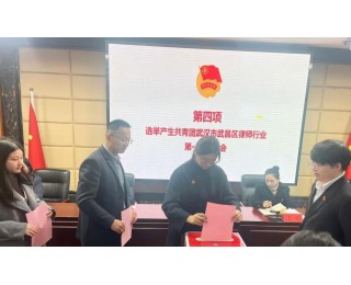 共青团武汉市武昌区律师行业委员会成立