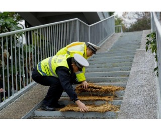 闻“寒”而动，江岸多部门联合筑牢安全防线