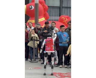 ​“硬核”新春祝福！机器人与非遗传承人同台演绎武术经典