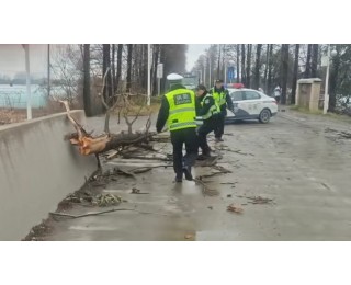 出行高峰时段遇险情，青山交警徒手清障护平安