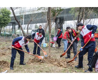 100棵树苗“安家”莱茵口袋公园，他们共绘城市边角“绿色拼图”