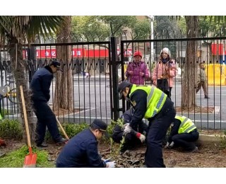 青山区城管队员进社区植绿，路过居民透过栅栏驻足点赞
