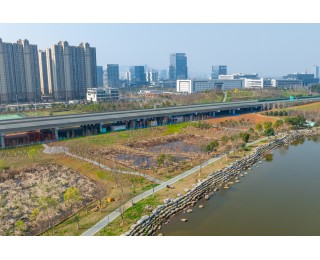 串起湖边绿道，江夏这处桥下空间变身便民休闲空间