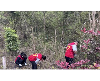 湖北交投武黄运营公司北港所：美化路域环境，助力乡村环境提升