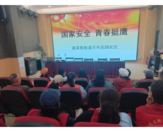 武汉天兴花园社区开展“国家安全 青春挺膺”活动