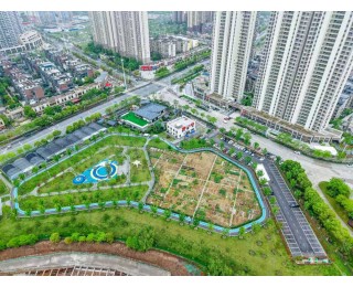 圆了农耕梦！30余位退休老人武汉市区认领“责任田”