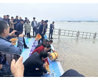 10万尾鱼苗入江，多部门开展增殖放流活动