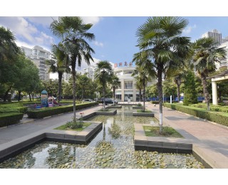 湖北4个小区获评全国典型，党建引领美好家园成效显著