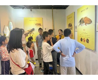 探秘蜜蜂王国，共享甜蜜时光！洪山区方桂园社区亲子蜜蜂博物馆科普研学活动圆满举行