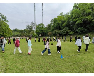 武汉经开区全力北社区开展青年拓展活动，同学们共赴春日之约