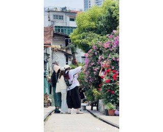 湿地花城，原来还可以这样打卡！武汉藏在巷子里的宝藏花街
