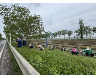 洁净提质安全同行，东西湖区走马岭街道开展“五一”节前环境综合整治