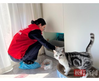 五一我在岗|武汉这家物业变身萌宠“临时家长”，为外出业主喂猫遛狗
