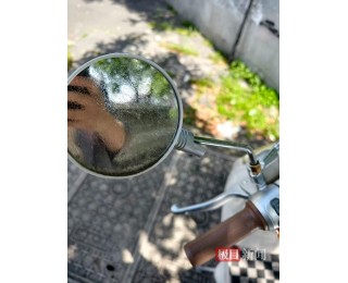 大晴天行道树“下糖雨”，全是黏糊糊的油状物，原来是蚜虫的分泌物